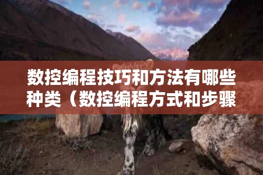 数控编程技巧和方法有哪些种类（数控编程方式和步骤）