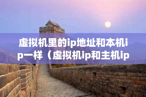 虚拟机里的ip地址和本机ip一样（虚拟机ip和主机ip一样会冲突吗）