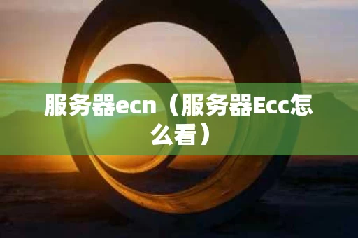 服务器ecn（服务器Ecc怎么看）