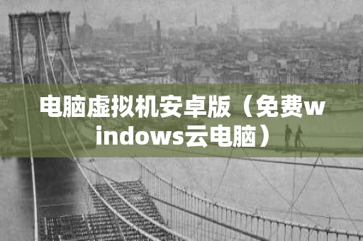 电脑虚拟机安卓版（免费windows云电脑）