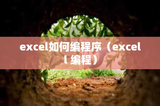 excel如何编程序（excell 编程）