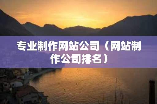 专业制作网站公司（网站制作公司排名）