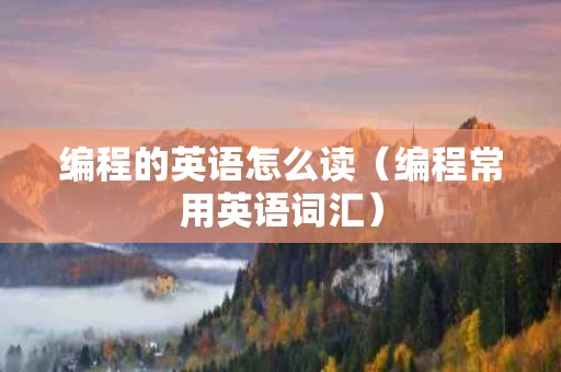 编程的英语怎么读（编程常用英语词汇）