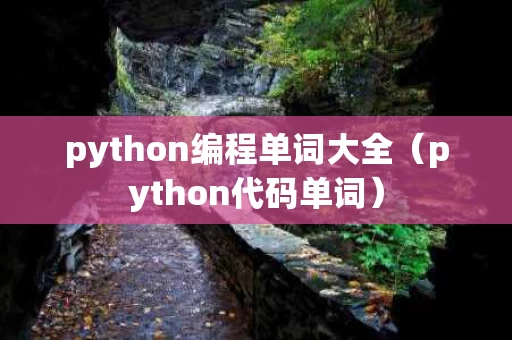 python编程单词大全（python代码单词）