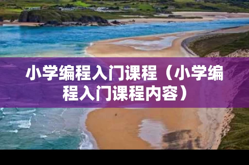 小学编程入门课程（小学编程入门课程内容）