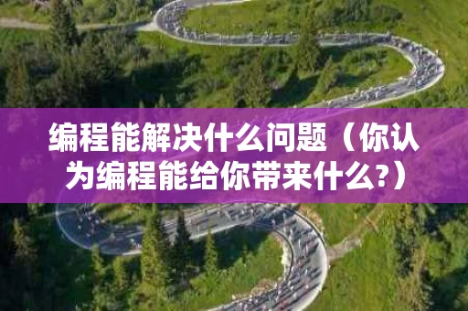 编程能解决什么问题（你认为编程能给你带来什么?）