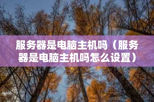 服务器是电脑主机吗（服务器是电脑主机吗怎么设置）
