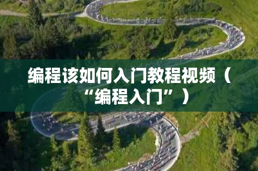 编程该如何入门教程视频（“编程入门”）