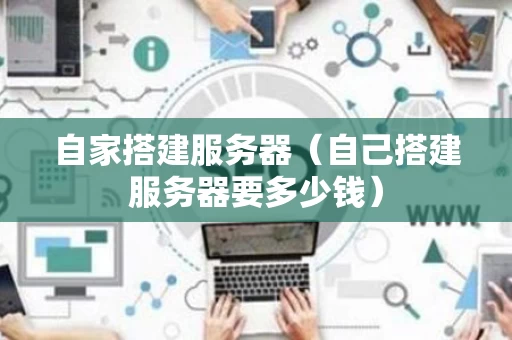 自家搭建服务器（自己搭建服务器要多少钱）