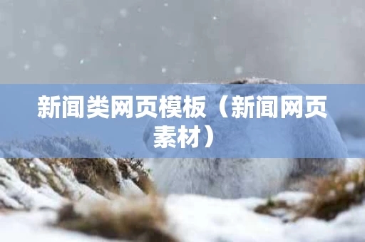 新闻类网页模板（新闻网页素材）