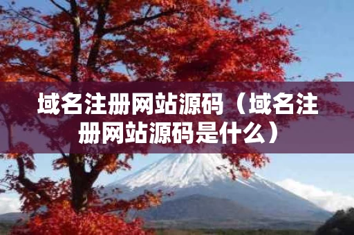 域名注册网站源码（域名注册网站源码是什么）