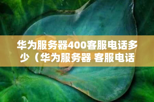 华为服务器400客服电话多少（华为服务器 客服电话）
