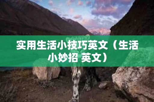 实用生活小技巧英文（生活小妙招 英文）