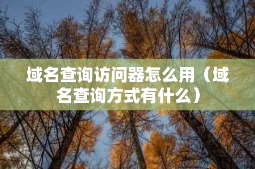 域名查询访问器怎么用（域名查询方式有什么）