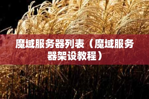 魔域服务器列表（魔域服务器架设教程）