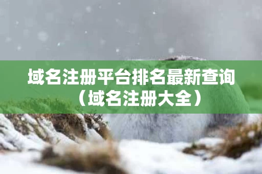 域名注册平台排名最新查询（域名注册大全）