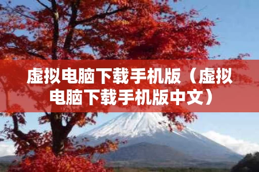 虚拟电脑下载手机版（虚拟电脑下载手机版中文）