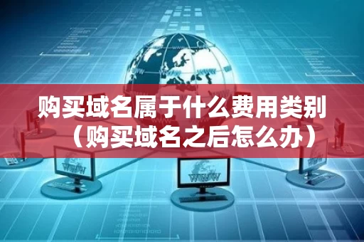 购买域名属于什么费用类别（购买域名之后怎么办）