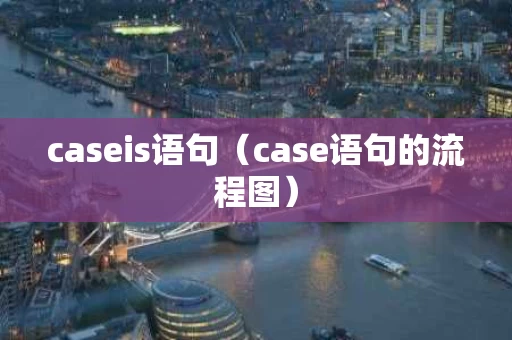 caseis语句（case语句的流程图）