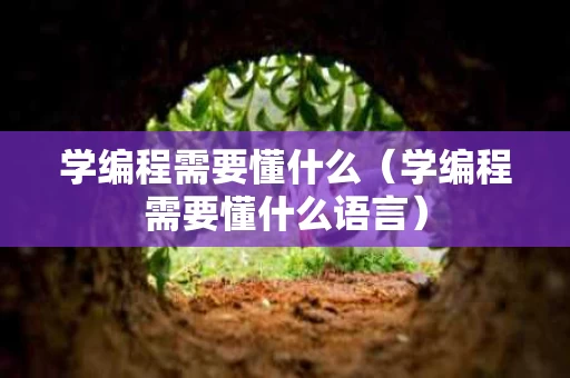 学编程需要懂什么（学编程需要懂什么语言）