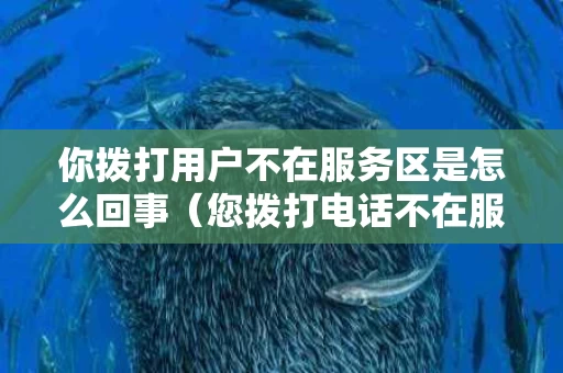 你拨打用户不在服务区是怎么回事（您拨打电话不在服务区中是什么意思）