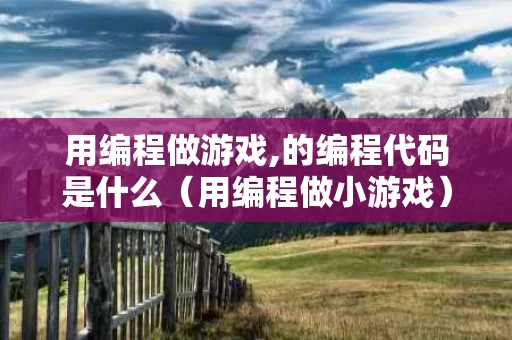 用编程做游戏,的编程代码是什么（用编程做小游戏）