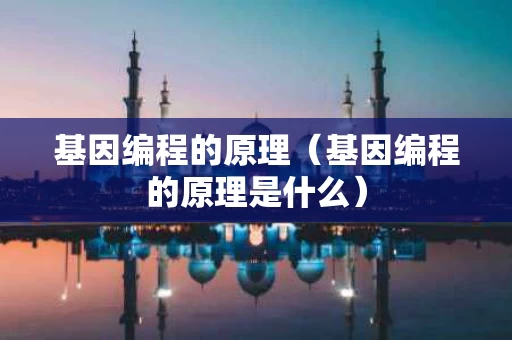 基因编程的原理（基因编程的原理是什么）