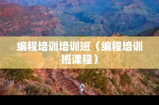 编程培训培训班（编程培训班课程）