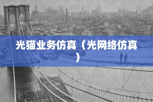 光猫业务仿真（光网络仿真）