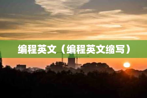编程英文（编程英文缩写）