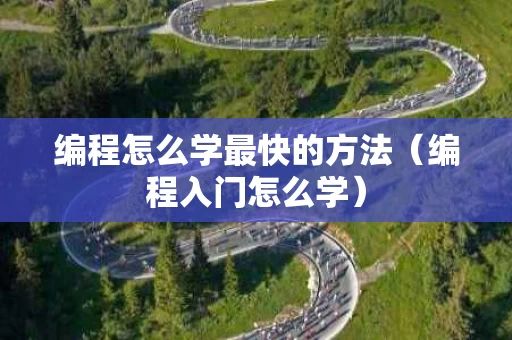 编程怎么学最快的方法（编程入门怎么学）