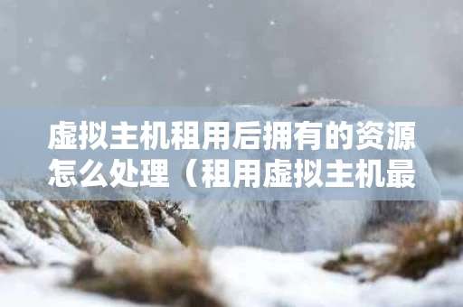 虚拟主机租用后拥有的资源怎么处理（租用虚拟主机最主要考虑的因素是）