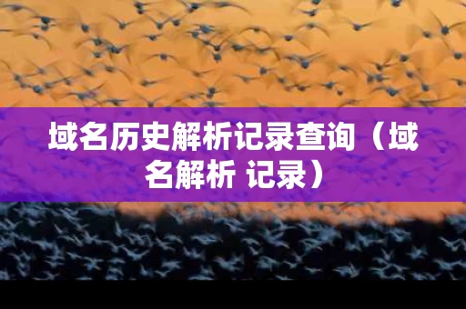 域名历史解析记录查询（域名解析 记录）