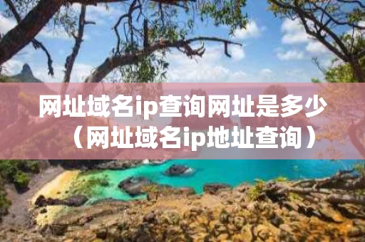 网址域名ip查询网址是多少（网址域名ip地址查询）