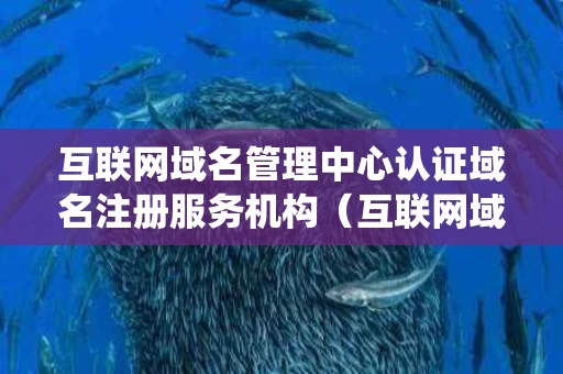 互联网域名管理中心认证域名注册服务机构（互联网域名系统）