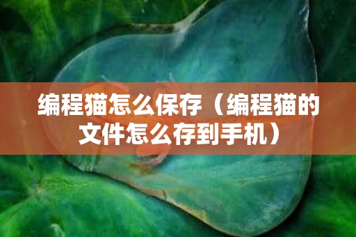 编程猫怎么保存（编程猫的文件怎么存到手机）