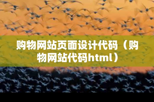 购物网站页面设计代码（购物网站代码html）