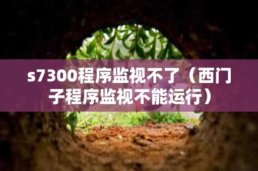 s7300程序监视不了（西门子程序监视不能运行）