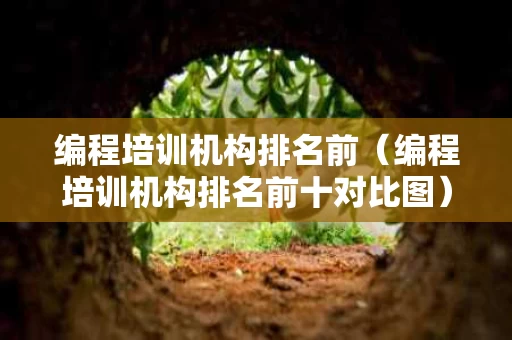 编程培训机构排名前（编程培训机构排名前十对比图）