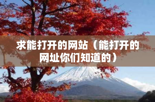 求能打开的网站（能打开的网址你们知道的）