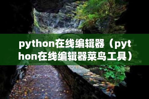 python在线编辑器（python在线编辑器菜鸟工具）