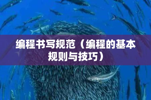 编程书写规范（编程的基本规则与技巧）