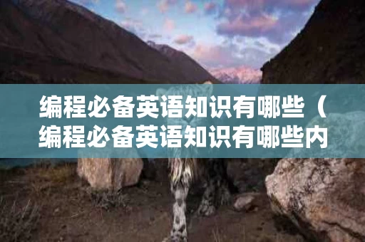 编程必备英语知识有哪些（编程必备英语知识有哪些内容）