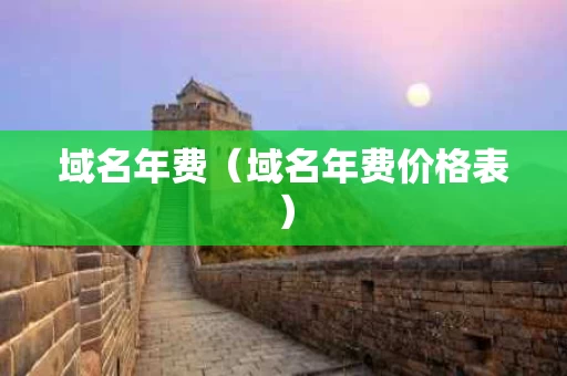 域名年费（域名年费价格表）