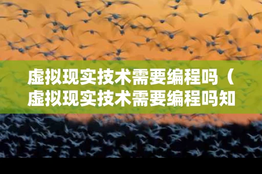 虚拟现实技术需要编程吗（虚拟现实技术需要编程吗知乎）