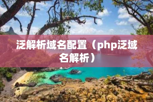 泛解析域名配置（php泛域名解析）