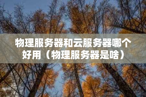 物理服务器和云服务器哪个好用（物理服务器是啥）