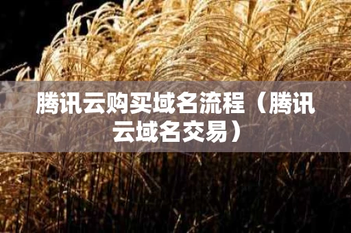 腾讯云购买域名流程（腾讯云域名交易）