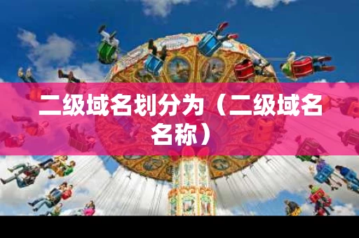 二级域名划分为（二级域名名称）