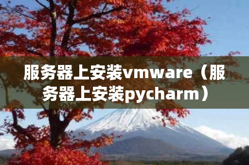 服务器上安装vmware（服务器上安装pycharm）